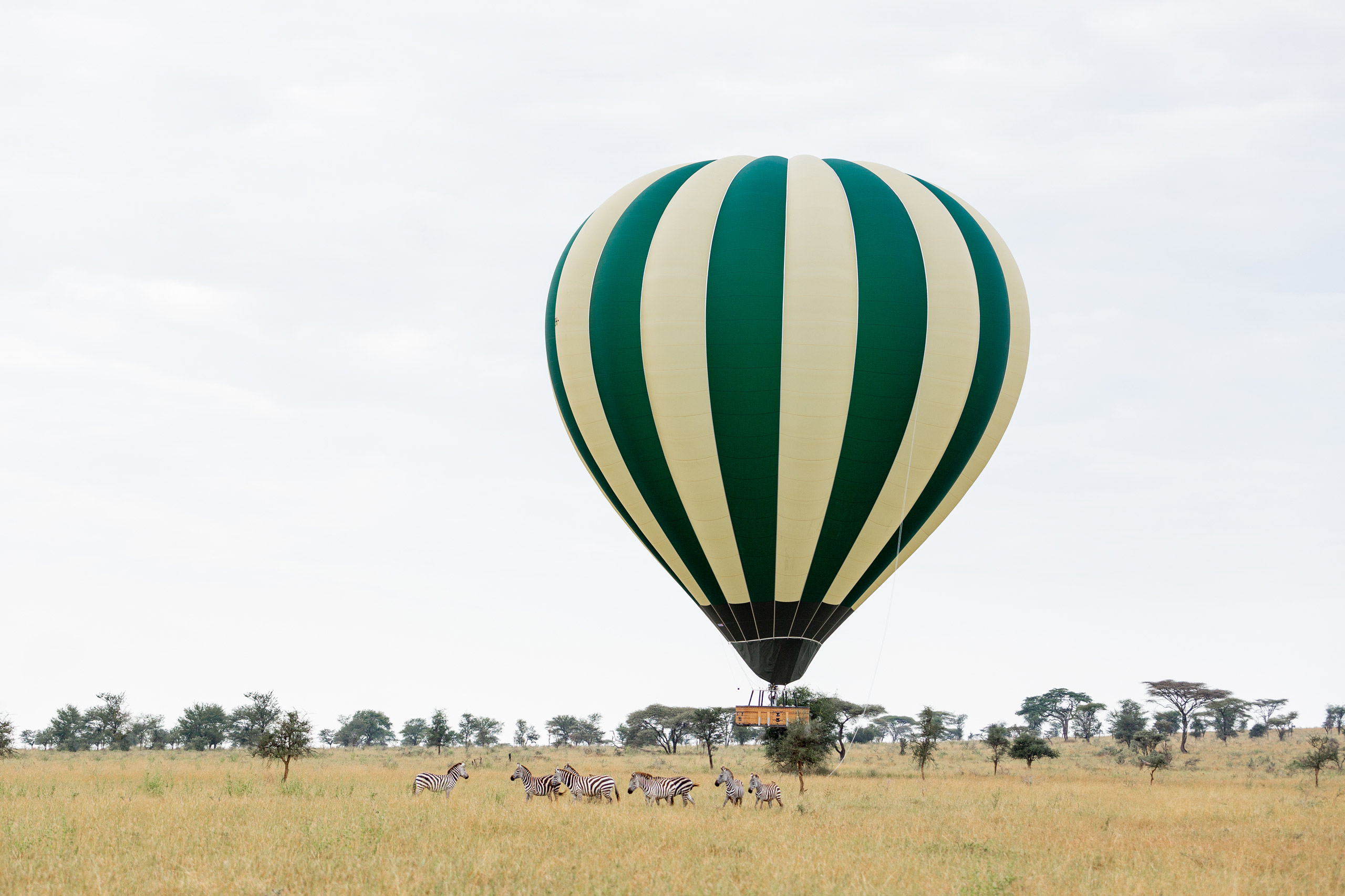 Ballon Safari in Tanzania i