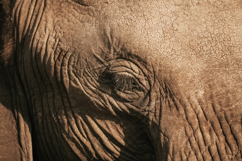 Mkomanzi National Park Day Trip