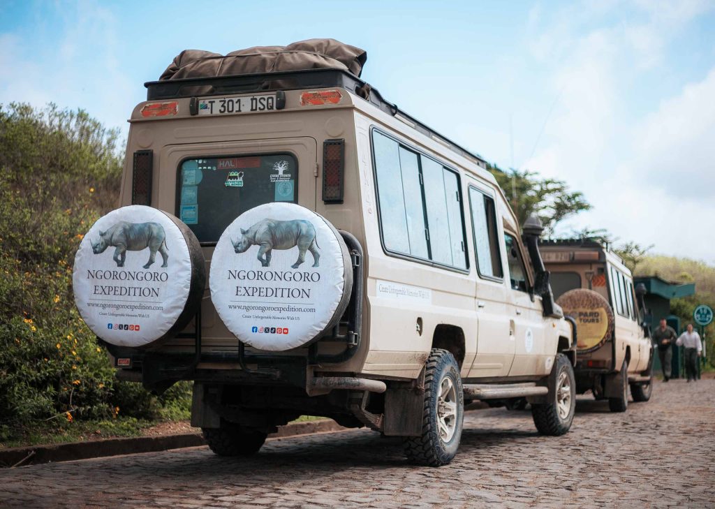 Ngorongoro Crater day trip safari vehicle inside crater