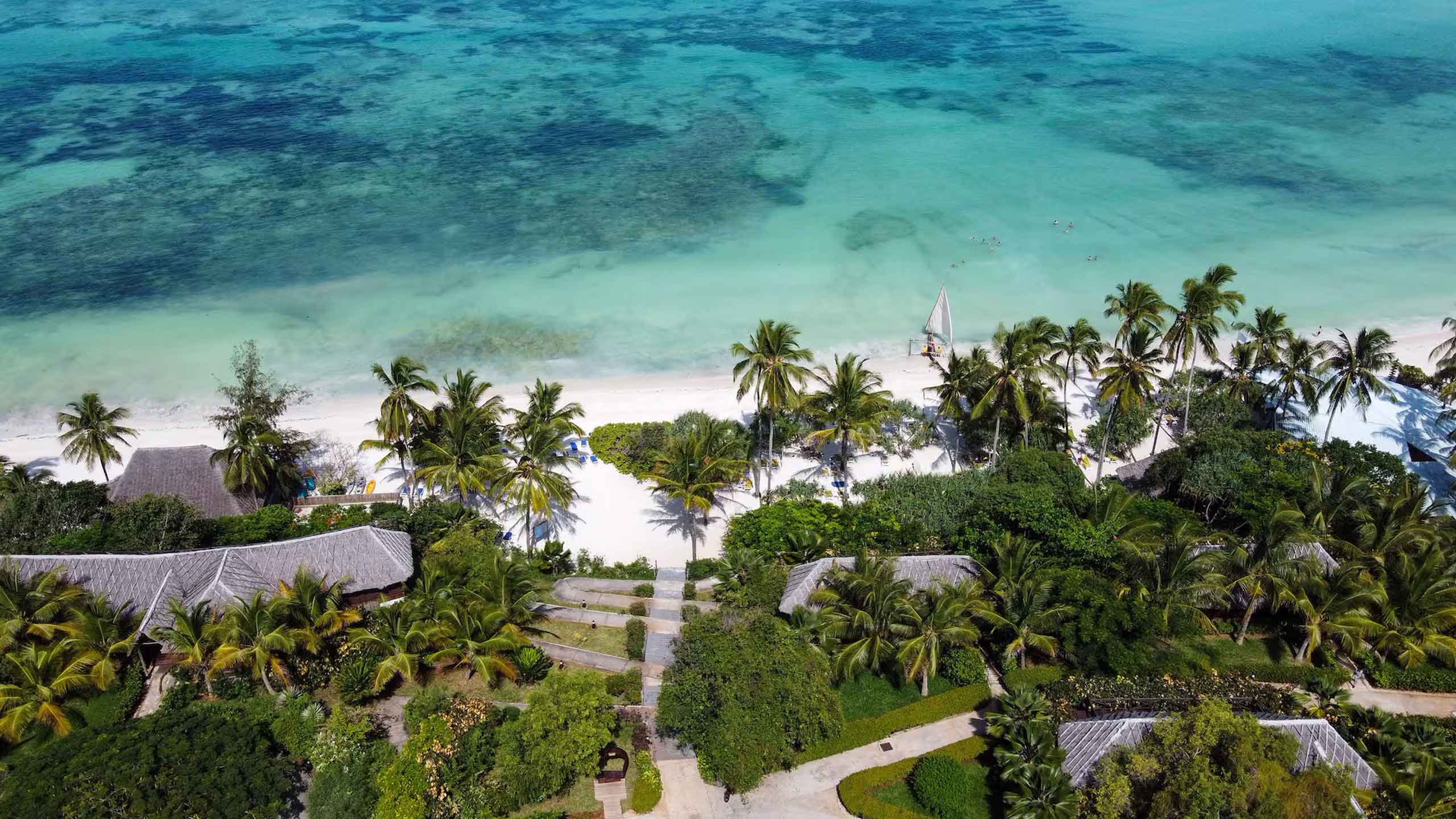 tanzania Safari and Zanzibar